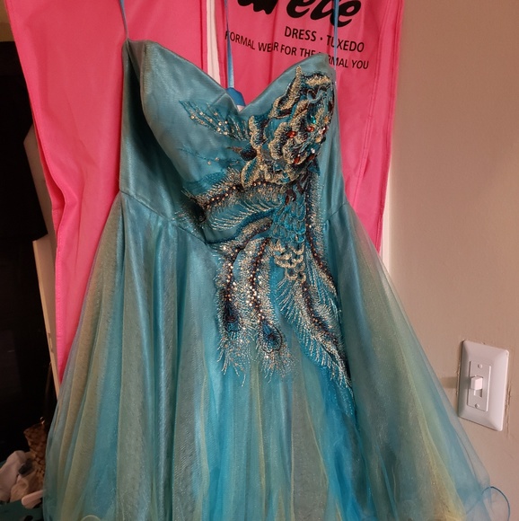 Homecoming/Prom Dress - Picture 1 of 4